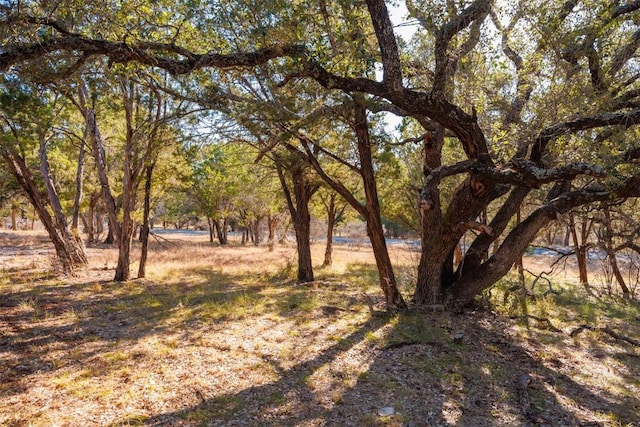 14025 Pinkerton Loop, Horseshoe Bay, TX 78657 - photo 12