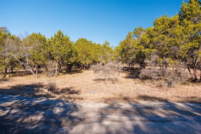 14025 Pinkerton Loop, Horseshoe Bay, TX 78657 - photo 13