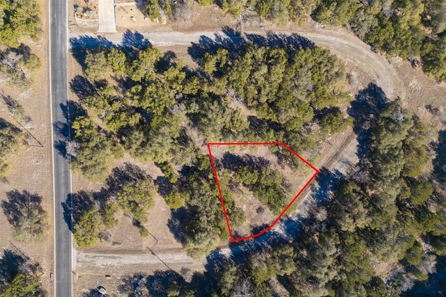 14025 Pinkerton Loop, Horseshoe Bay, TX 78657 - photo 2