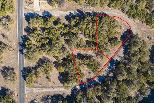 14025 Pinkerton Loop, Horseshoe Bay, TX 78657 - photo 3