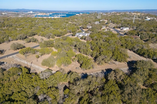 14025 Pinkerton Loop, Horseshoe Bay, TX 78657 - photo 4