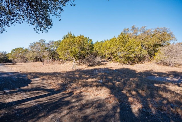 14025 Pinkerton Loop, Horseshoe Bay, TX 78657 - photo 6