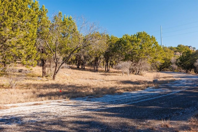 14025 Pinkerton Loop, Horseshoe Bay, TX 78657 - photo 9