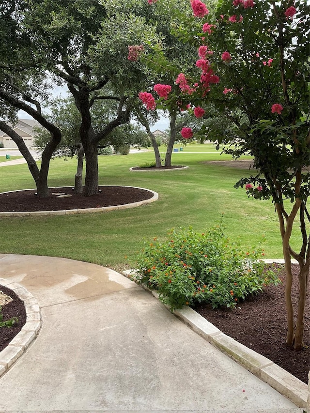 surrounding community featuring a yard