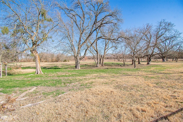 view of yard featuring a rural view