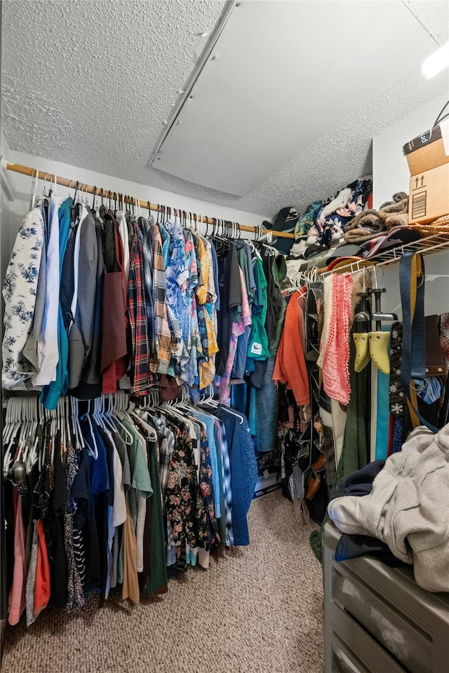 spacious closet with carpet