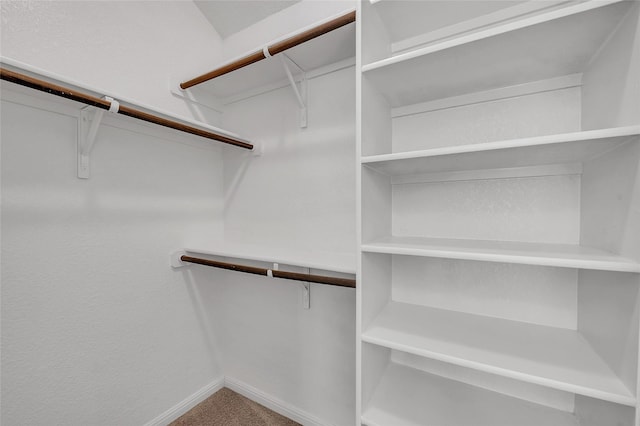 walk in closet with carpet flooring