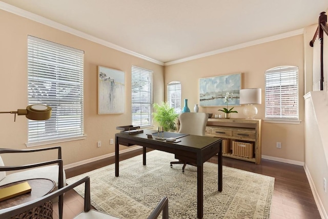 4312 Clear Meadow Pl, Round Rock, TX 78665 - office space with wood finished floors, baseboards, and ornamental molding