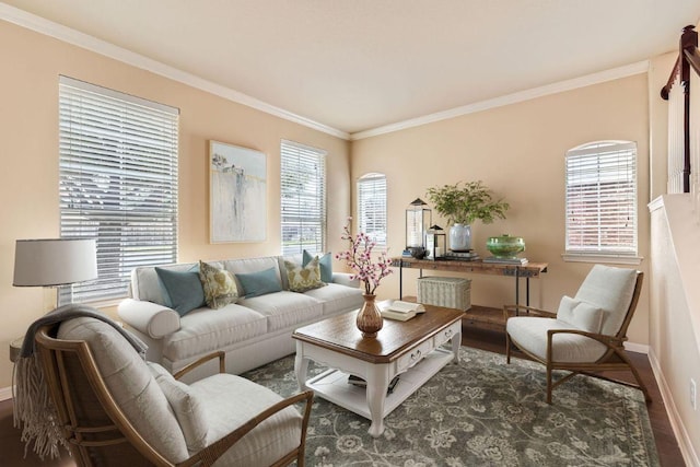 4312 Clear Meadow Pl, Round Rock, TX 78665 - living room with crown molding, wood finished floors, and baseboards
