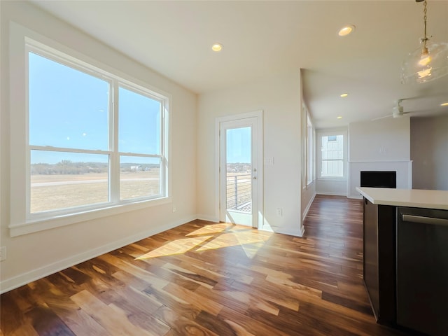 interior space featuring dark hardwood / wood-style floors