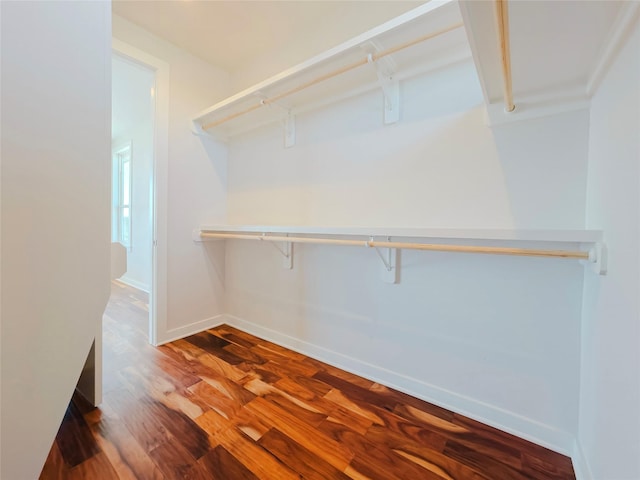 spacious closet with hardwood / wood-style flooring