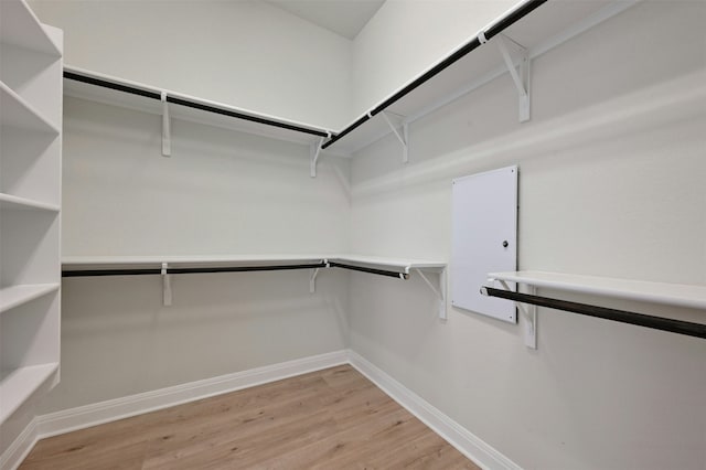 spacious closet featuring light hardwood / wood-style floors