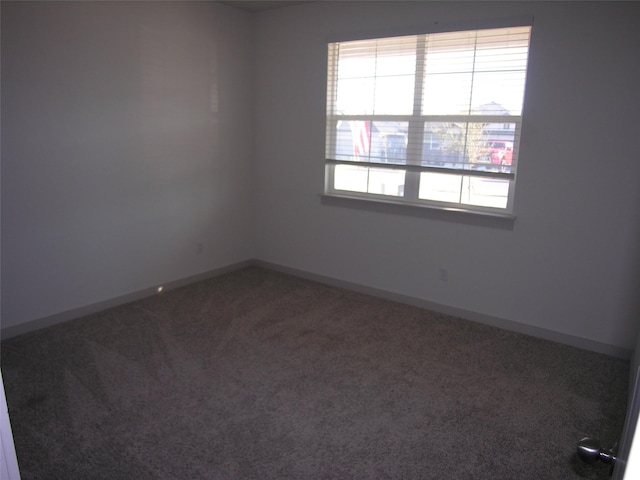 spare room with carpet