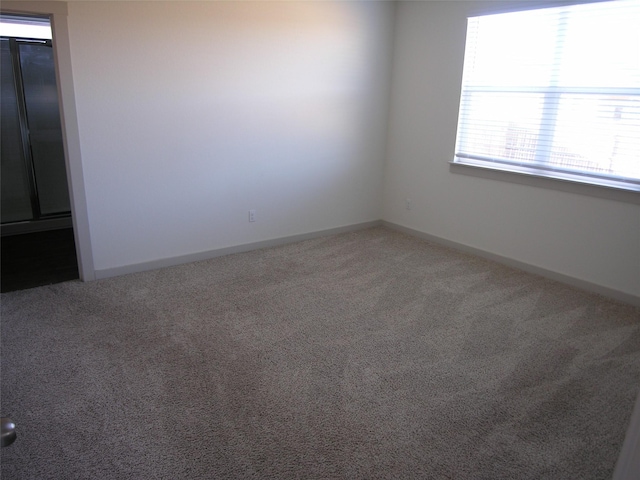 empty room featuring carpet flooring