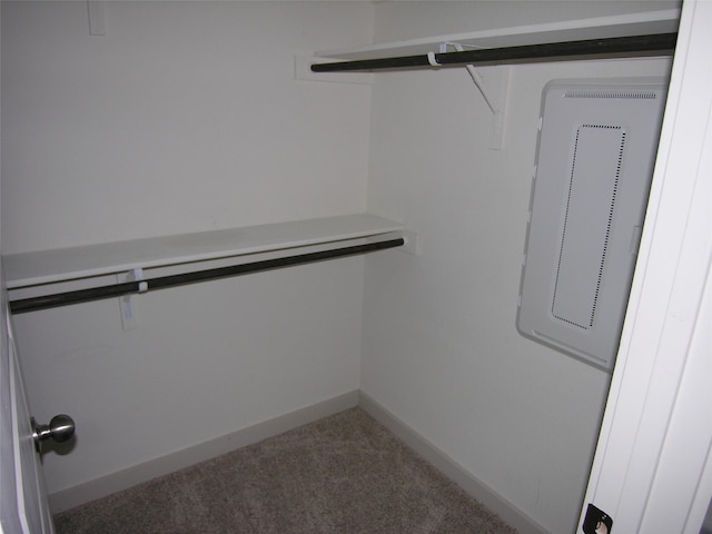 walk in closet with carpet