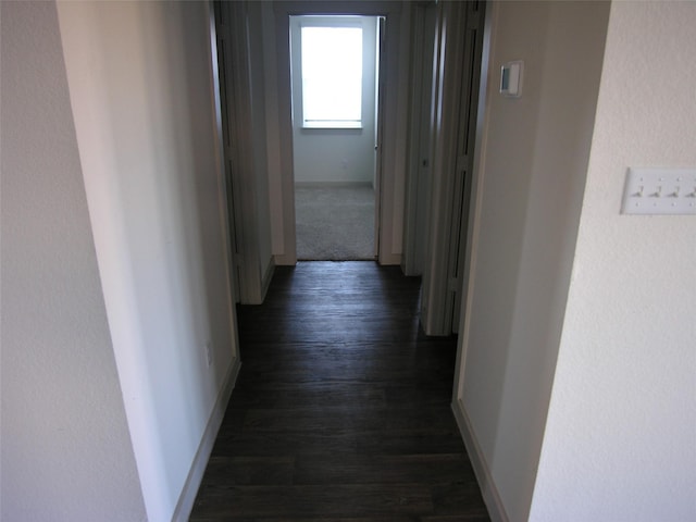 hall featuring dark wood-type flooring