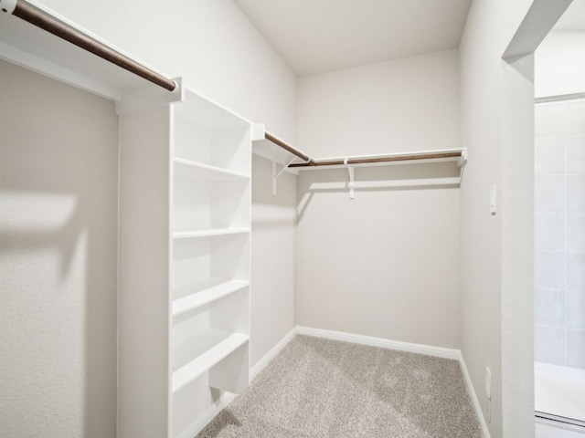 walk in closet featuring carpet floors