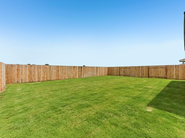 249 Boatright Blvd, Jarrell, TX 76537 - view of yard