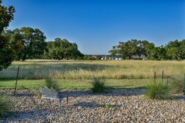 321 Cimarron Hills Trl E, Georgetown, TX 78628 - view of yard