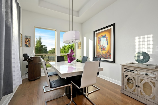 dining space with a tray ceiling and wood-type flooring