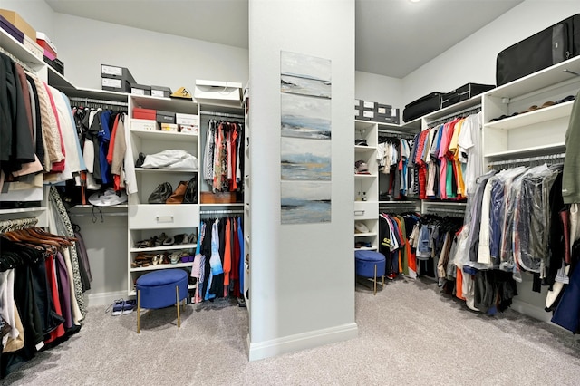 spacious closet featuring light colored carpet