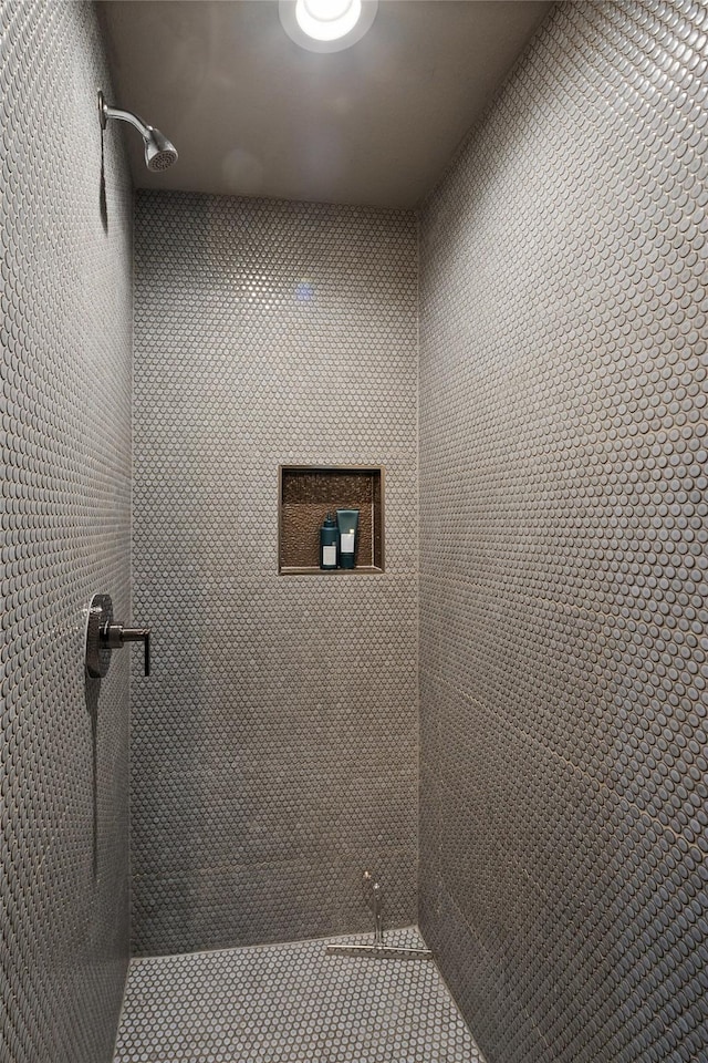 room details with tiled shower