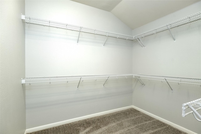 spacious closet with vaulted ceiling and carpet flooring