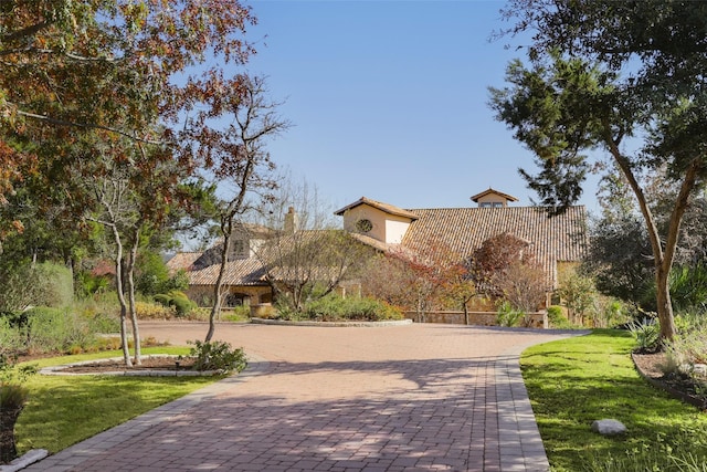 surrounding community featuring decorative driveway and a lawn