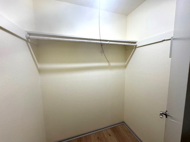 spacious closet featuring wood finished floors