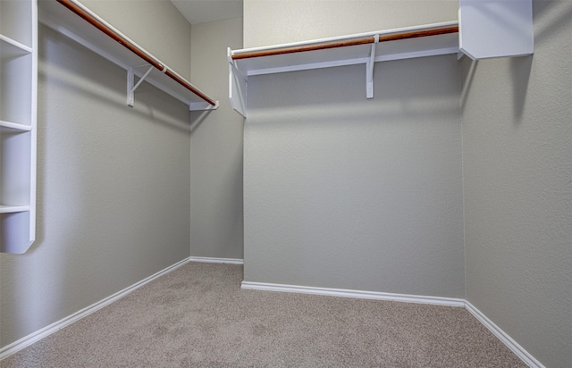 walk in closet featuring carpet flooring