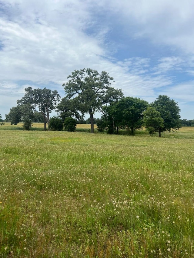 TBD2 Davis Rd, Smithville TX, 78957 land for sale