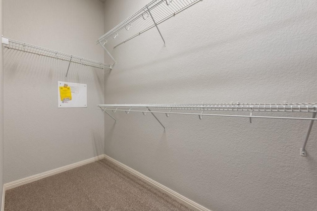 walk in closet featuring carpet flooring