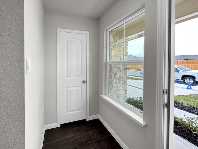 entryway featuring dark wood-type flooring