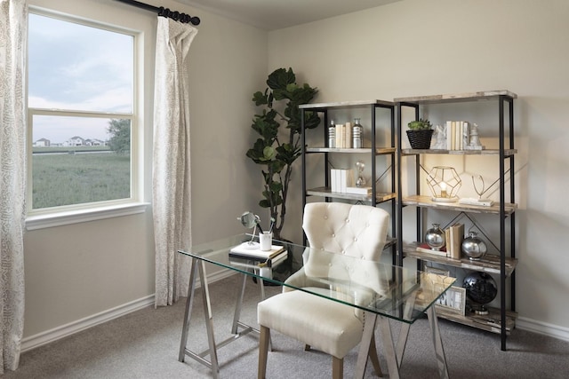 office space featuring carpet floors and a wealth of natural light