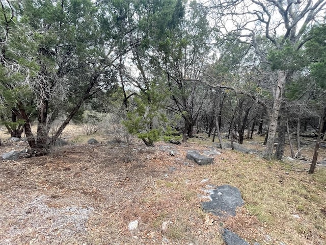 14024 Pinkerton Loop, Horseshoe Bay, TX 78657 - photo 6