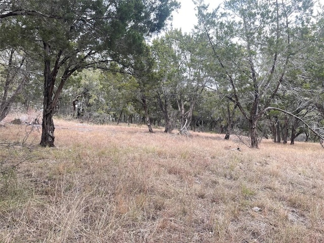 14024 Pinkerton Loop, Horseshoe Bay, TX 78657 - photo 11