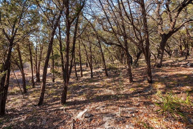 14024 Pinkerton Loop, Horseshoe Bay, TX 78657 - photo 10