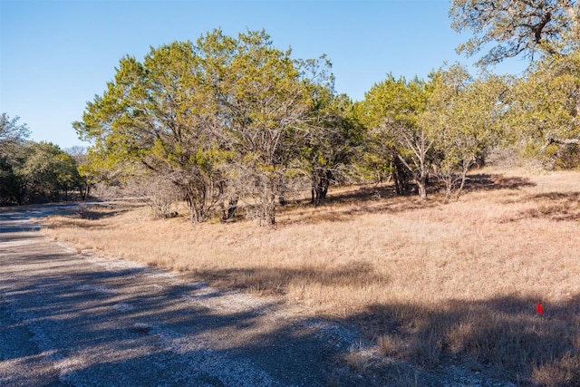 14024 Pinkerton Loop, Horseshoe Bay, TX 78657 - photo 8