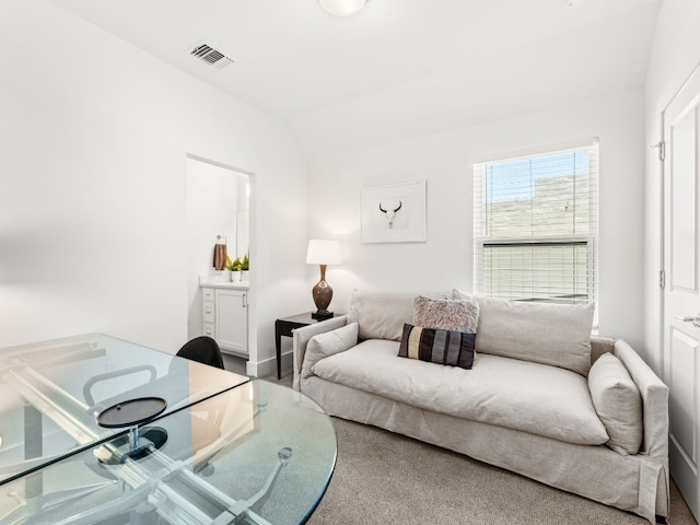 3711 Garden Villa Ln Unit A, Austin, TX 78704 - living room with lofted ceiling