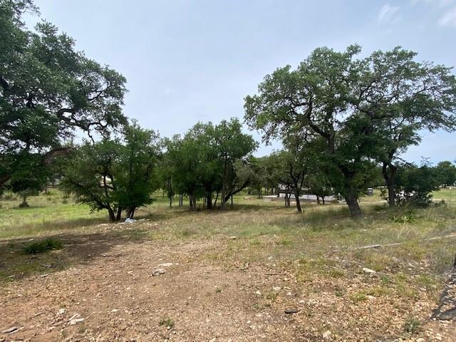 116 Stag Leap Ct, Liberty Hill TX, 78642 land for sale