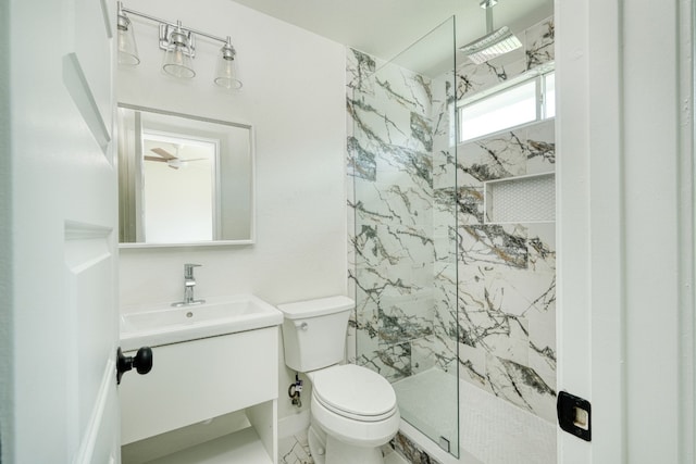 bathroom with vanity, toilet, and an enclosed shower