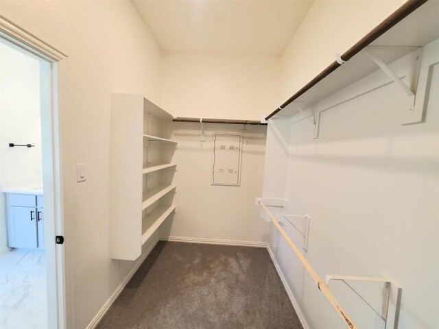1501 Cole Estates Dr, Georgetown, TX 78628 - spacious closet featuring dark colored carpet
