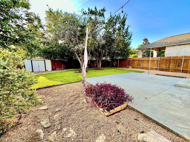 view of yard with a storage unit and a patio area