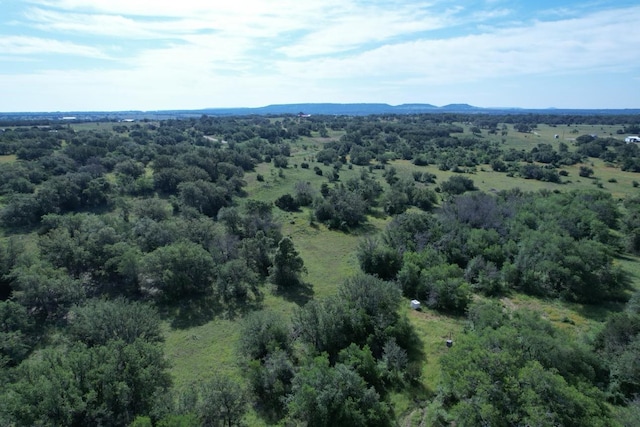 LOT40 Ranch Road 101 E, Kempner TX, 76550 land for sale