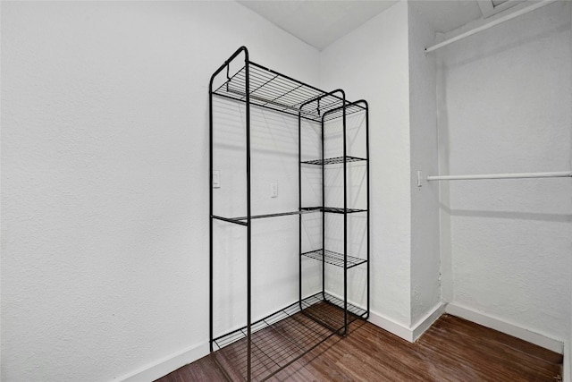 spacious closet featuring wood finished floors