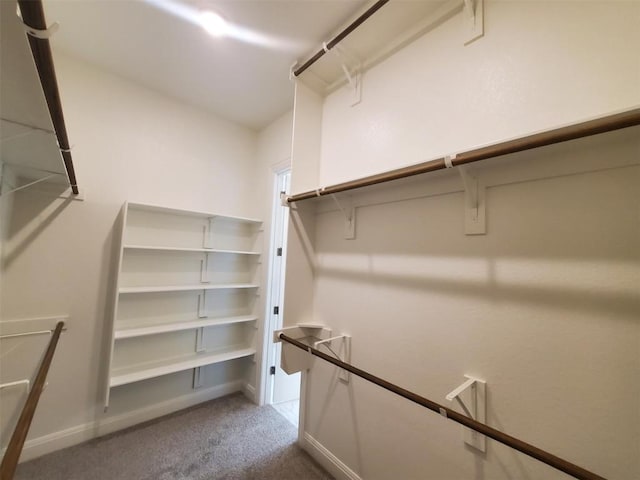 spacious closet with carpet flooring