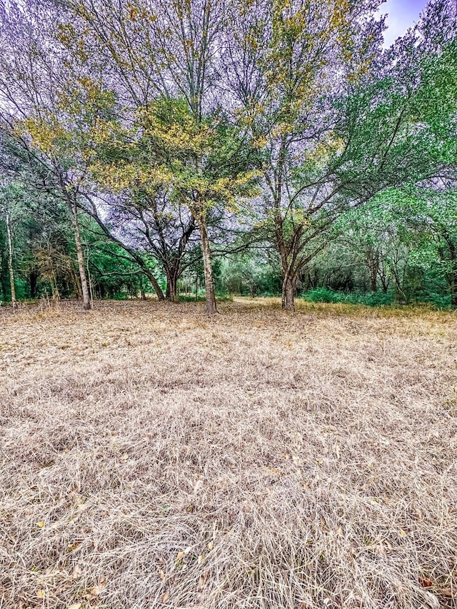 TBD Krchnak Rd, Smithville, TX 78957
