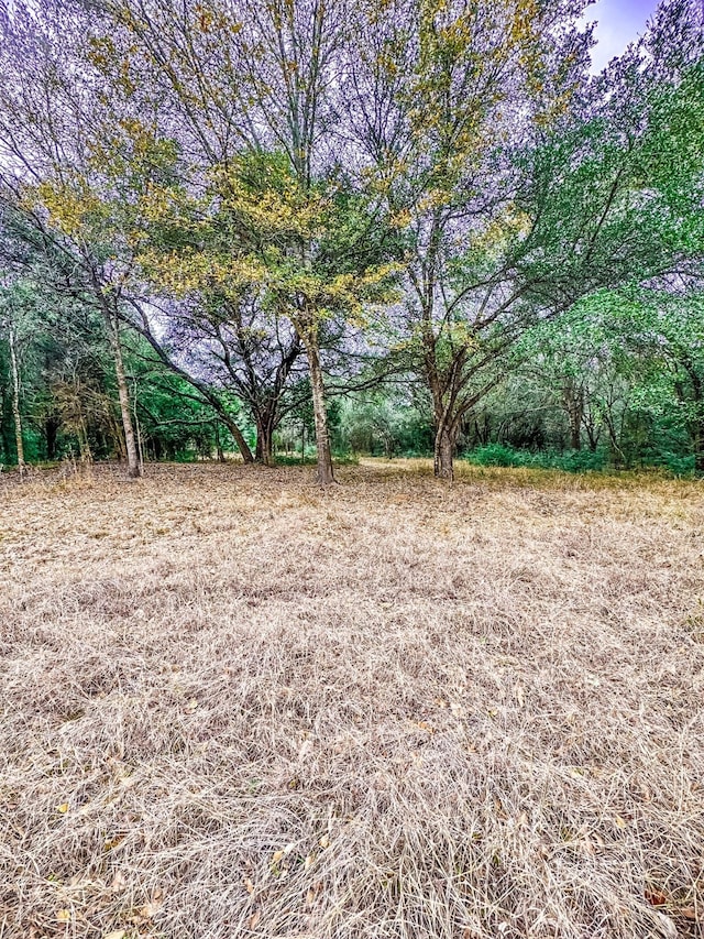 TBD Krchnak Rd, Smithville TX, 78957 land for sale