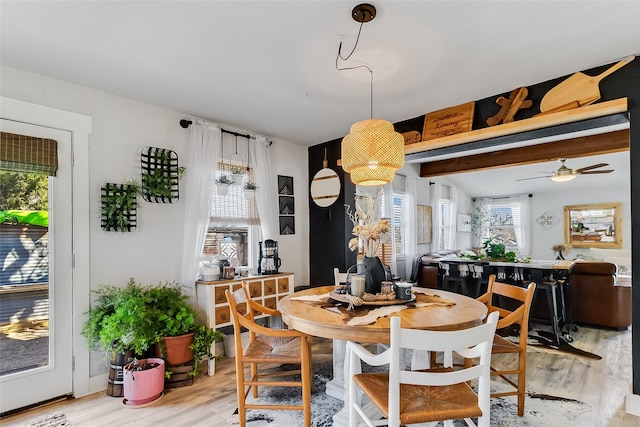 dining room featuring light hardwood / wood-style flooring, ceiling fan, and vaulted ceiling