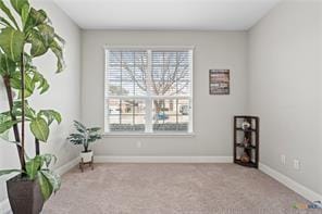 living area with light carpet